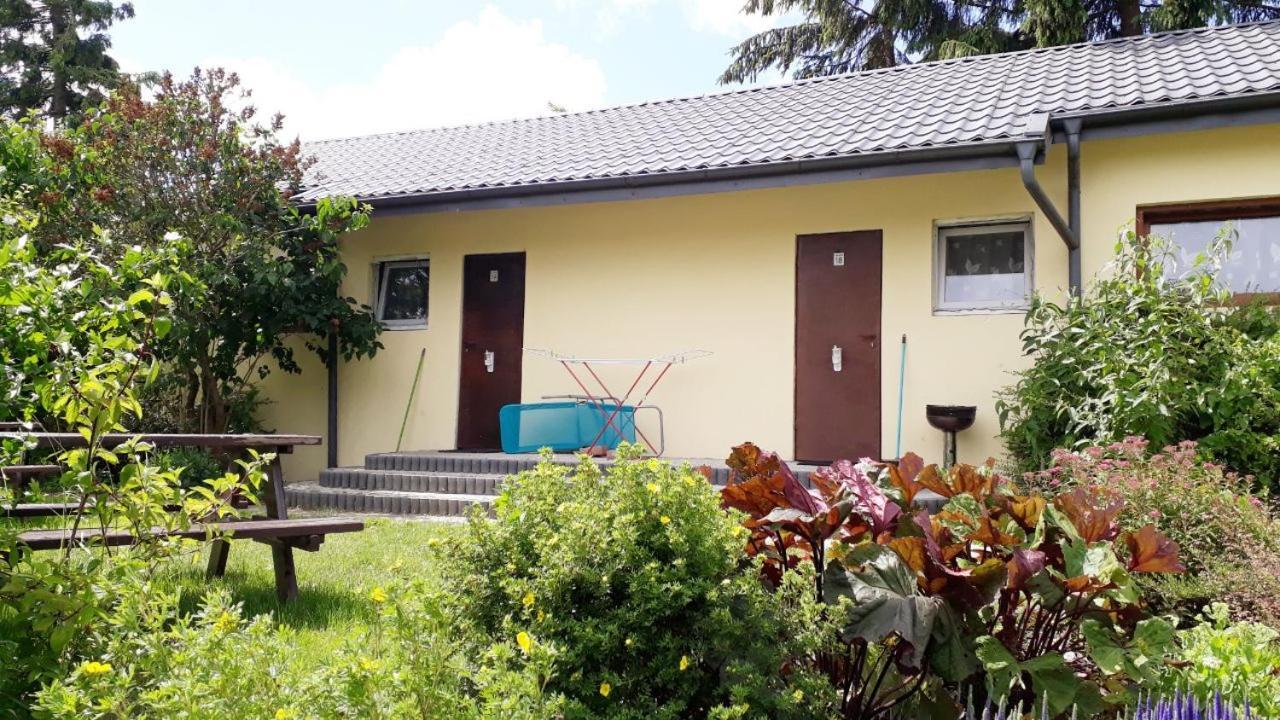 Ow Wilk - Pokoje I Domki Z Aneksami Kuchennymi, Parking, Plac Zabaw Łeba Esterno foto
